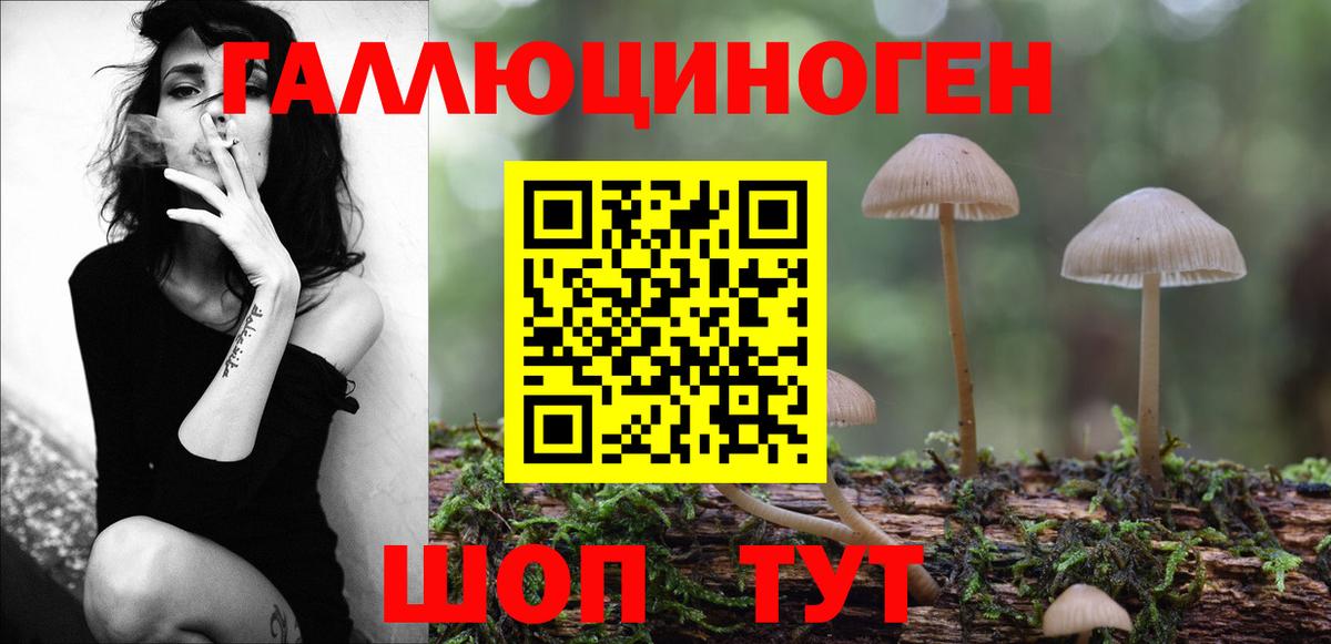 Москва  Псилоцибиновые грибы Psilocybine cubensis  Галлюциногенные грибы Psilocybine cubensis  Вход с VPN 